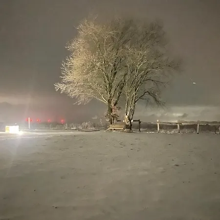 Lalouette Porcheresse (Belgium Luxembourg)