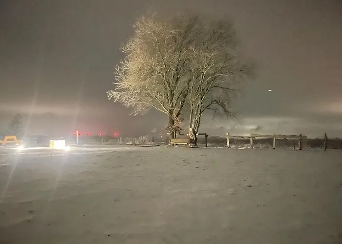 Lalouette Porcheresse (Belgium Luxembourg)